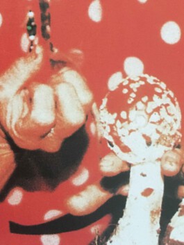 hooops - garden of fantastic plants and substances