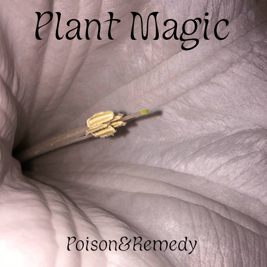 hooops - garden of fantastic plants and substances