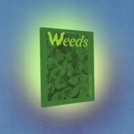 hooops - garden of fantastic plants and substances