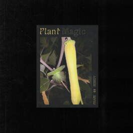 hooops - garden of fantastic plants and substances